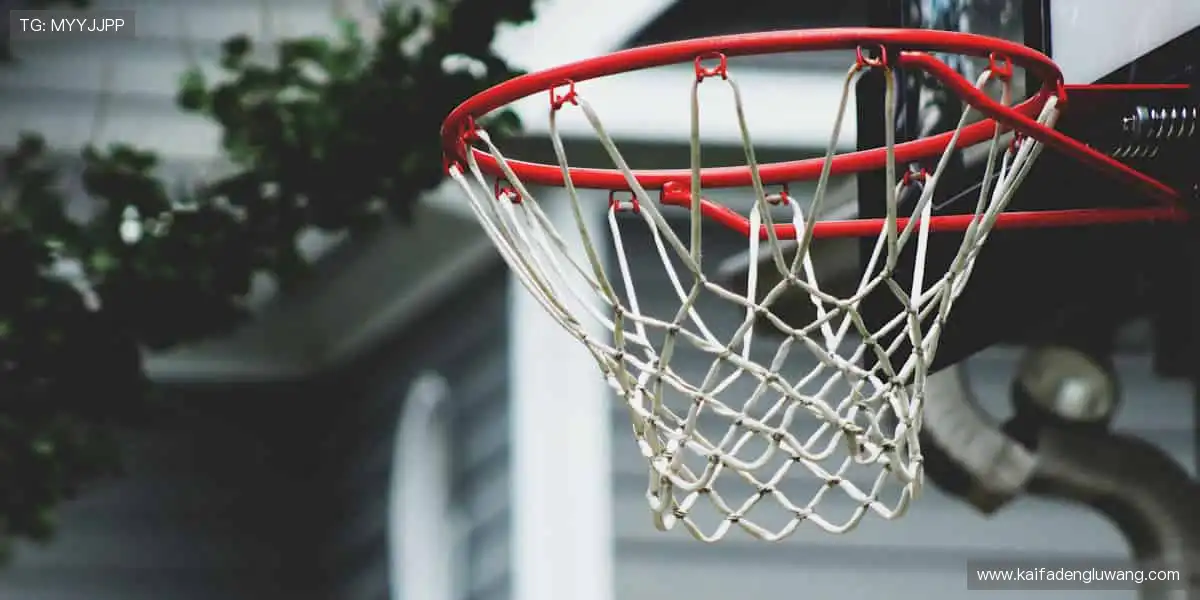 💪专业装备，品质之选！🏋️提升性能，超越自我！